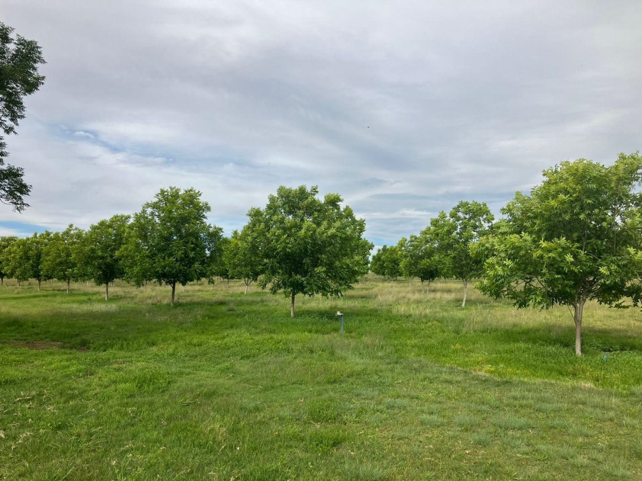 10 Bedroom Property for Sale in Bainsvlei Free State